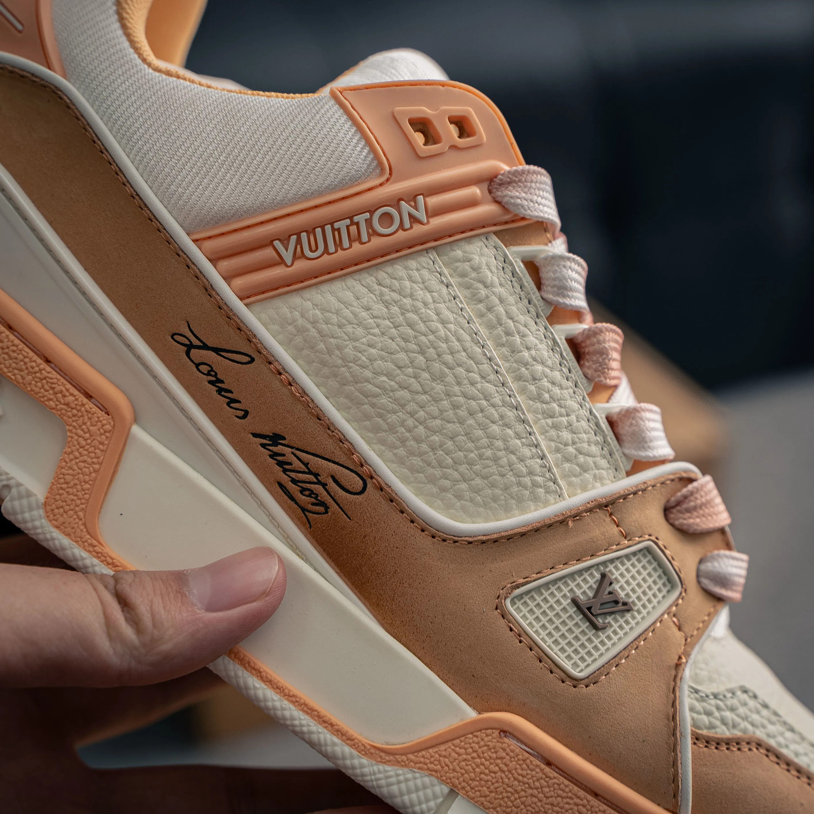 Louis Vuitton Trainer lv Sneakers Shoes Shoes